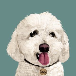 Meet your Posher, Jasmine